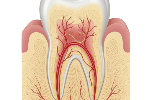 Root Canal Treatment