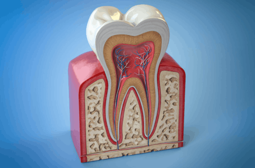Root Canal Treatment